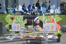 ref. photo 3602658