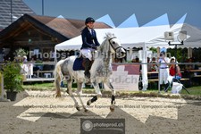 ref. photo 3602701