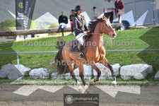 ref. photo 3602716