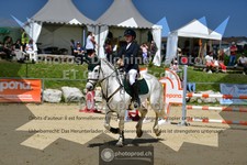 ref. photo 3602780