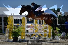 ref. photo 3602800