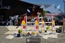 ref. photo 3602822