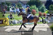 ref. photo 3602879