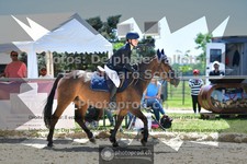 ref. photo 3602901