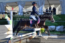 ref. photo 3602911