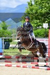 ref. photo 3602919