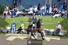 ref. photo 3602923