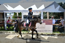 ref. photo 3602929