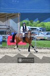 ref. photo 3602938