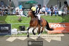 ref. photo 3602942