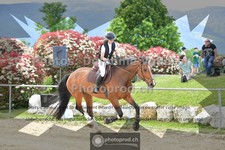 ref. photo 3602955
