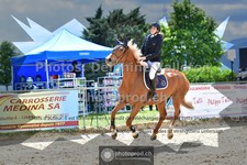ref. photo 3602962