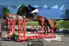 ref. photo 3602993