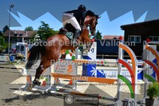 ref. photo 3603008