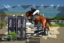 ref. photo 3603019