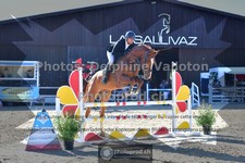 ref. photo 3603024