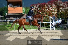 ref. photo 3603025