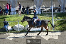ref. photo 3603038