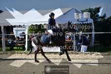 ref. photo 3603040