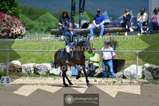 ref. photo 3603051