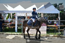 ref. photo 3603059