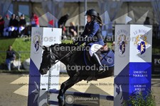 ref. photo 3603060