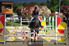 ref. photo 3603064