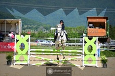 ref. photo 3603076