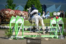 ref. photo 3603079