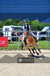 ref. photo 3603128