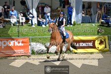 ref. photo 3603131