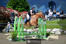 ref. photo 3603132