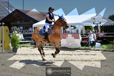 ref. photo 3603136