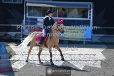 ref. photo 3603138