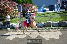 ref. photo 3603142