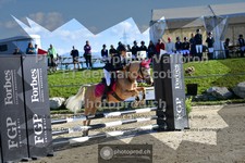ref. photo 3603143