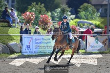 ref. photo 3603158