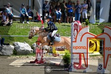 ref. photo 3603168