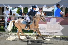 ref. photo 3603172