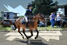 ref. photo 3603184
