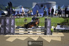 ref. photo 3603185