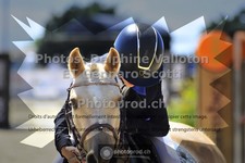 ref. photo 3603192