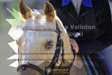 ref. photo 3603193
