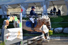 ref. photo 3603204