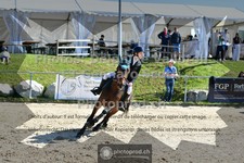 ref. photo 3603243