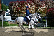 ref. photo 3603264