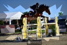 ref. photo 3603280
