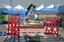 ref. photo 3603294