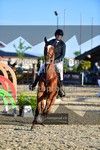 ref. photo 3603302