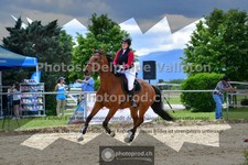 ref. photo 3603310